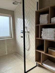 een douche met een glazen deur in de badkamer bij Magnolia deluxe Apartment in Zagreb