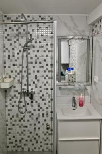 bagno con doccia, lavandino e doccia di Studio Apartman UNA -self check in,free parking a Karlovac