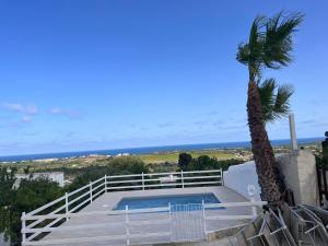 a villa with a swimming pool and a palm tree at Agriturismoeloropizzuta in Noto Marina