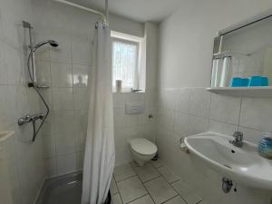 a bathroom with a shower and a toilet and a sink at Ferienhaus Schmidt in Storkow