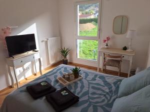 a room with a bed and a tv and a table at Chambre zen in Voiron