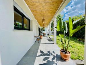 einen Flur eines Hauses mit Topfpflanze in der Unterkunft Villa californienne 160m2 Piscine Parking in Bruges