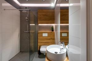 a bathroom with a sink and a shower and a toilet at St Florian Apartments in Kraków