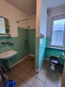 uma casa de banho com um lavatório, um WC e um chuveiro em Chata Pod Kwiatkiem em Zawoja
