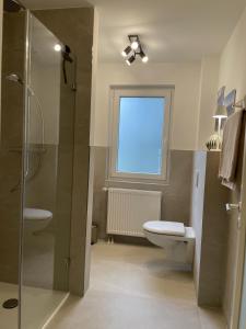 a bathroom with a shower and a toilet and a window at Wohnen im Leistengrund Würzburg in Würzburg +9 photos