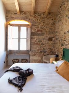 Φωτογραφία από το άλμπουμ του Terra de vents σε Calonge