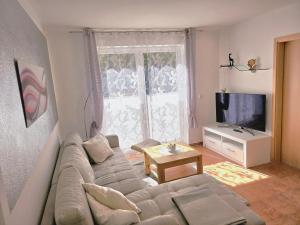 TV a/nebo společenská místnost v ubytování Apartment Neptun