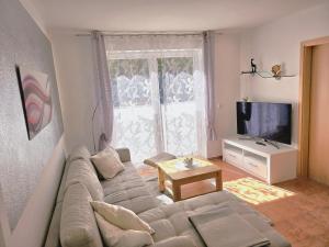 ein Wohnzimmer mit einem Sofa und einem TV in der Unterkunft Apartment Neptun in Ückeritz