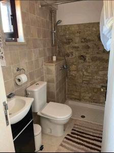 een badkamer met een toilet, een wastafel en een douche bij Lofou Maisonette in Lofou