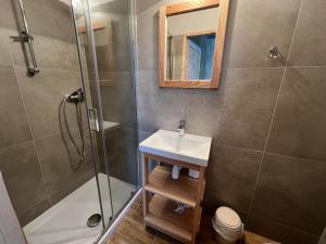 a bathroom with a sink and a shower at Cicha Dolina in Cisna