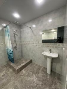 Vanadzor的住宿－Квартира，一间带水槽和淋浴的浴室