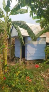 una casa azul en un patio con jardín en OBT - The Mango Bungalow 