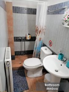 łazienka z toaletą i umywalką w obiekcie Efi Studio 2 Lamia w mieście Lamia