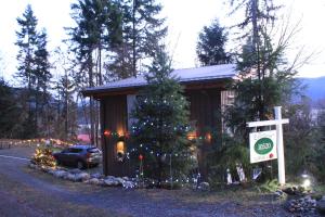 YoubouAlong the Way的小屋前方有圣诞树