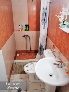 ein Bad mit einem Waschbecken, einem WC und einer Dusche in der Unterkunft Efi Studio 1 Lamia in Lamía