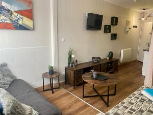 Χώρος καθιστικού στο Jolie studio Saint CYPRIEN 100m de la plage commerce et animation