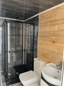 a bathroom with a toilet and a shower and a sink at Dilijan Glamping in Dilijan