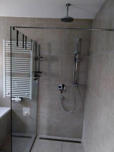 a shower with a glass door in a bathroom at Appartement Kieler in Haus im Ennstal