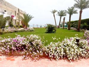 a garden with pink and white flowers and palm trees at Cecelia Hotel Suites Hurghada in Hurghada