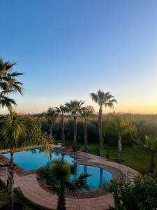 a swimming pool with palm trees in a park at Villa Dar Hadjar in Marrakesh