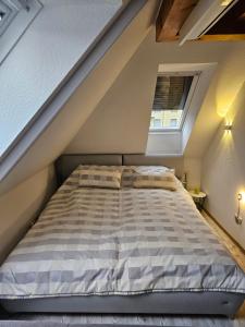 利希特瑙的住宿－FeWo Elke Lichtenau，阁楼上的一张床位