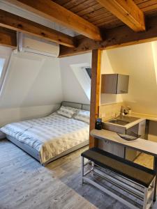 利希特瑙的住宿－FeWo Elke Lichtenau，一间卧室配有床和水槽