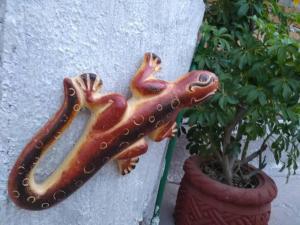 Fotografie z fotogalerie ubytování Casa Alebrijes v destinaci Tequila