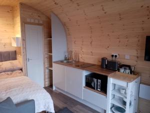 - une petite cuisine avec un évier et un lit dans une chambre dans l'établissement Faodail 'a lucky find', à Dunbeath