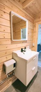 a bathroom with a sink and a mirror at Tiny houses Liv & Lea in Listerby