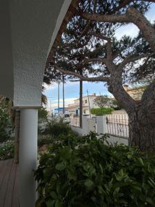 un porche con un árbol y una valla blanca en Maison de vacances espagnole en bord de plage, en Miami Platja