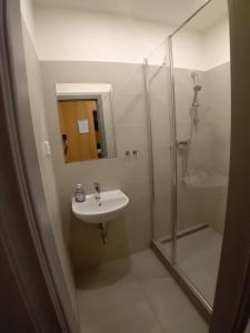 Hotel a ubytovna Zimní stadion Slaný的一间浴室