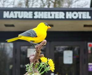 Fotografie z fotogalerie ubytování Nature Shelter Hotel v destinaci Åsljunga