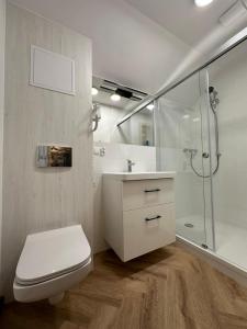 a bathroom with a toilet and a sink and a shower at Willa Parys in Władysławowo