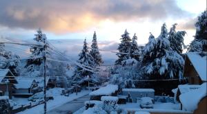 a view of a snow covered forest with trees at HOTEL LE CHARME con parking in San Carlos de Bariloche