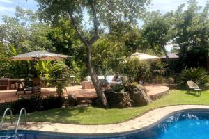 a yard with a pool and a table and an umbrella at Casa Nora Malinalco huerto con alberca climatizada in La Ladrillera