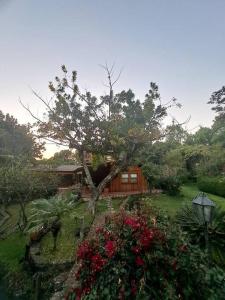 Imagen de la galería de Casa Nora Malinalco: entire estate w/pool, en La Ladrillera 32 fotos más