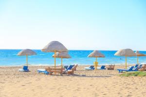 a group of chairs and umbrellas on a beach at RIVERA"For Family" in Ras Sedr