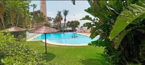 Swimmingpoolen hos eller tæt på APARTAMENTO SúITE ACAPULCO FIRST LINE BENIDORM BEACH