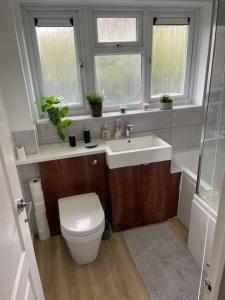 a bathroom with a toilet and a sink and two windows at Guest House with garden and 2x parking space in Southampton
