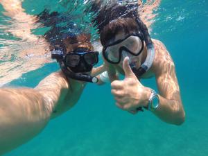 Hosté ubytování Tara's Lodge