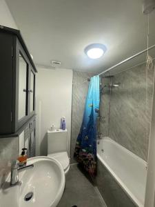 ein Badezimmer mit Waschbecken, Toilette und Dusche in der Unterkunft Deluxe Bungalow in Longham