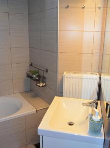 イオアニナにあるKaterina's guest houseの洗面台と浴槽のあるバスルーム