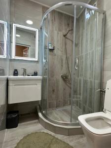 a bathroom with a shower and a toilet and a sink at Guesthouse Old Town in Kutaisi