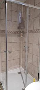 W łazience znajduje się prysznic ze szklanymi drzwiami. w obiekcie Departamentos Kitkaika w mieście Punta Arenas