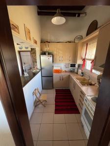 a kitchen with a refrigerator and a sink at Hope's House in Platanitis