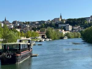 łódź na rzece z miastem w tle w obiekcie Idéal couples & pro - Proche centre ville et gare - Promenade au bord de la Charente - Parking à proximité - Wifi très haut debit - Équipement premium -Netflix w mieście Angoulême