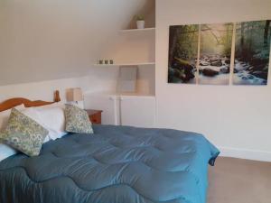 Un dormitorio con una cama azul con una foto en la pared en Odea Hot tub Holiday Cottage, en Dumfries