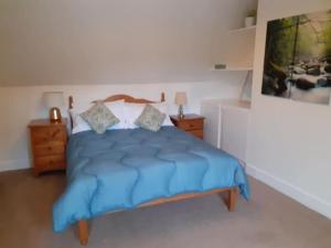 1 dormitorio con 1 cama azul y 2 mesitas de noche en Odea Hot tub Holiday Cottage, en Dumfries