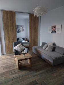 Centar Novi Sad-Apartman No 1 في نوفي ساد: غرفة معيشة مع أريكة وطاولة قهوة