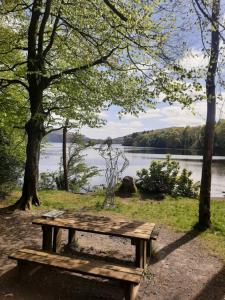 a wooden picnic table sitting next to a lake at Willow Cottage Accommodation in Sligo